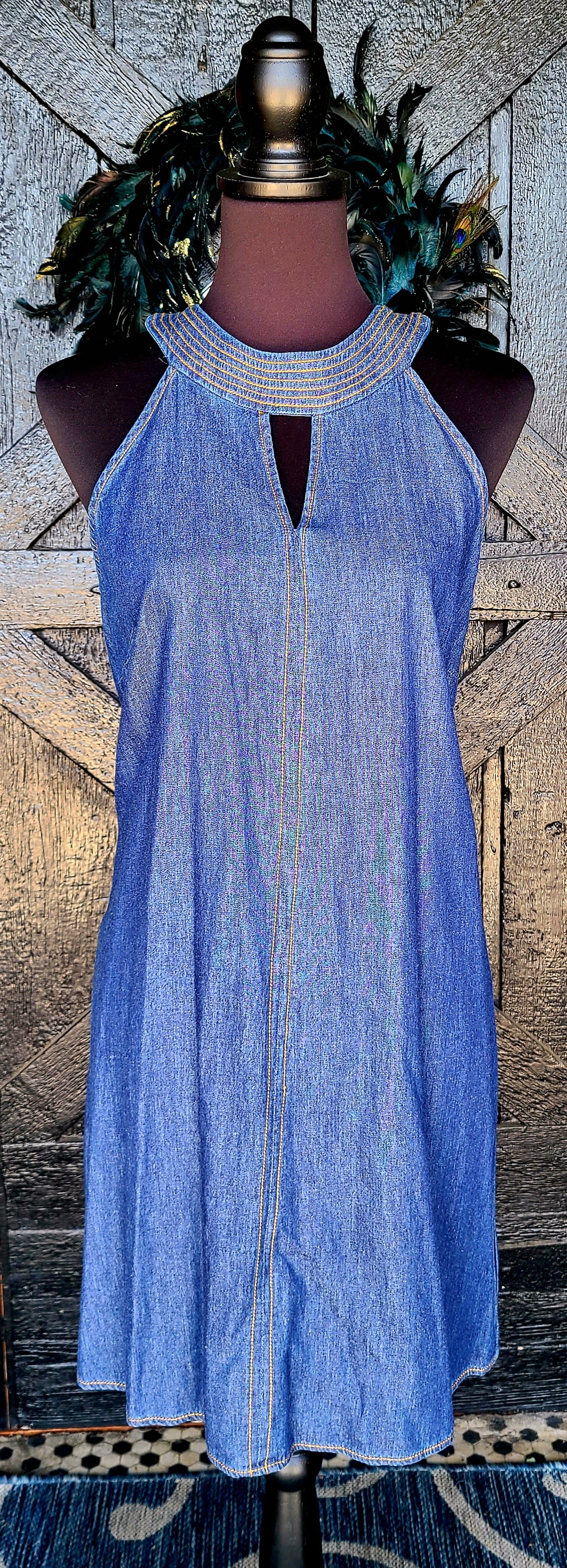 Denim Blue Tencil Sleeveless Dress