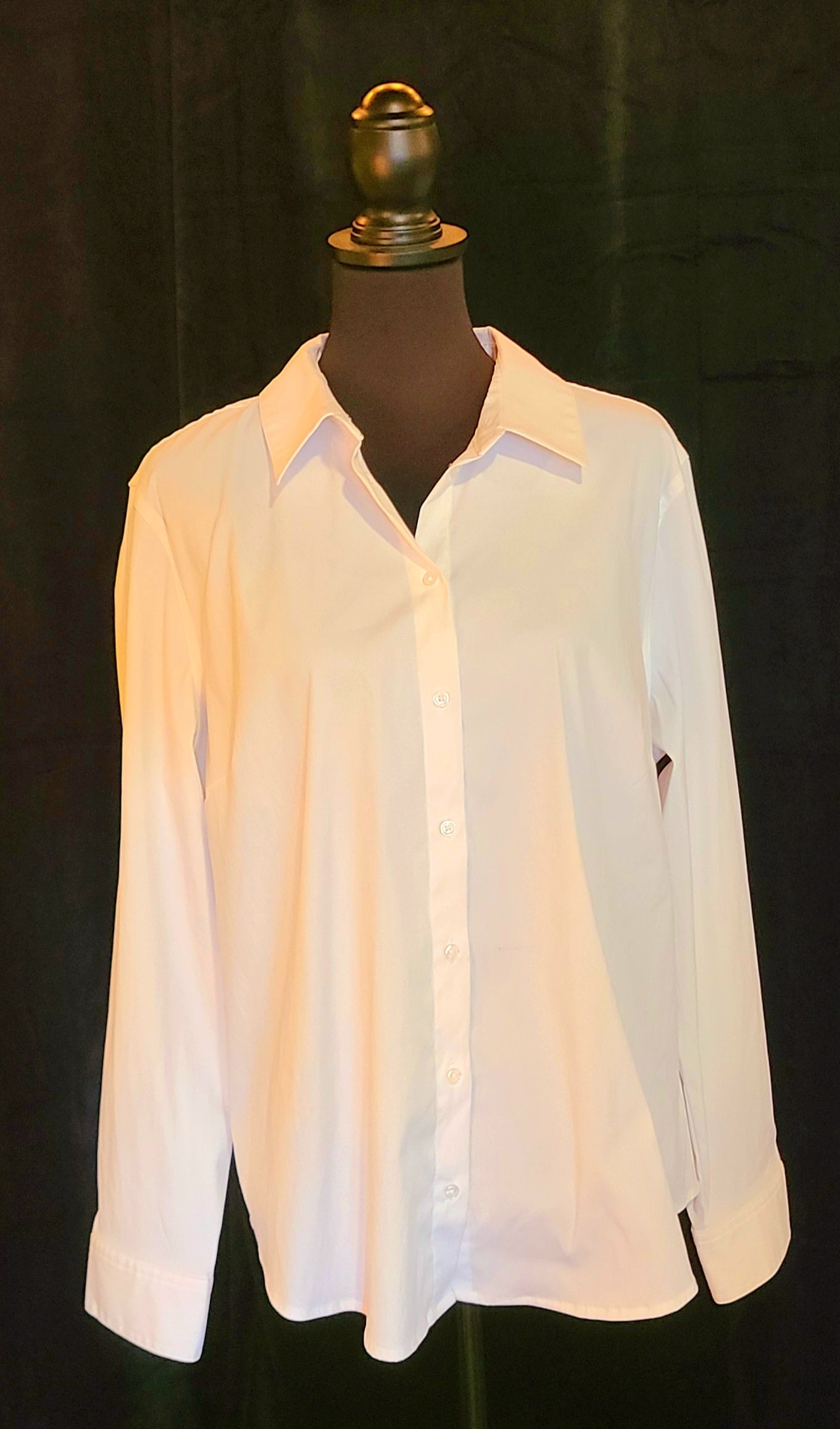 Time and Tru White Button Up Dress Shirt Size X-Large