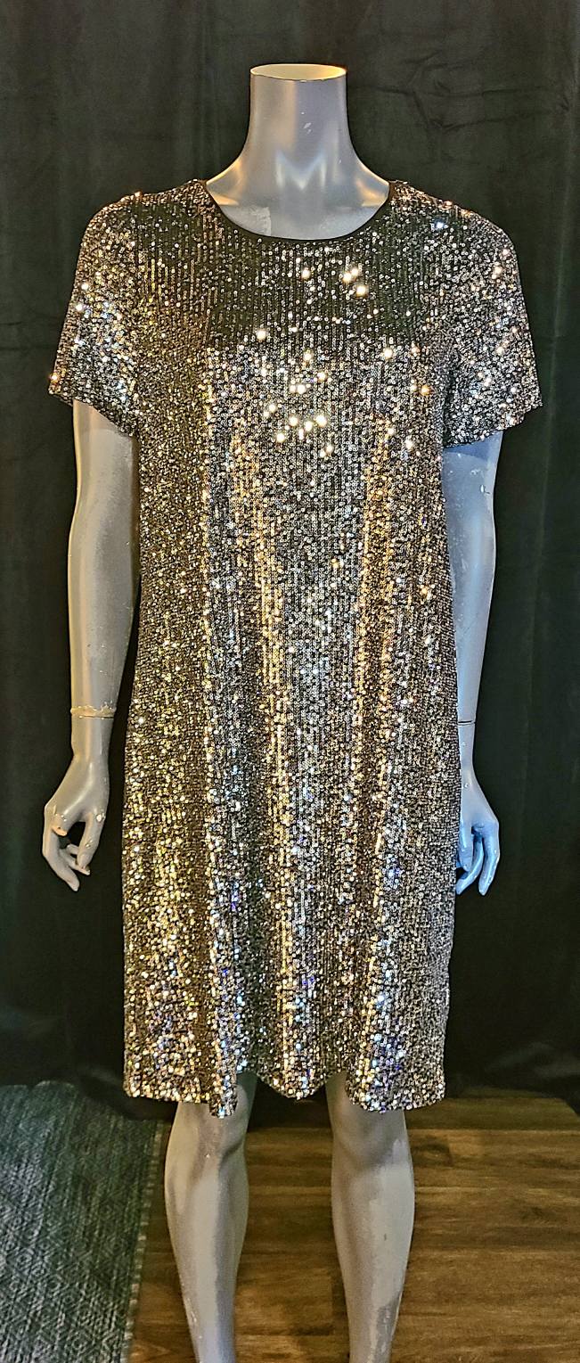 Silver Shimmer Knee Length Dress