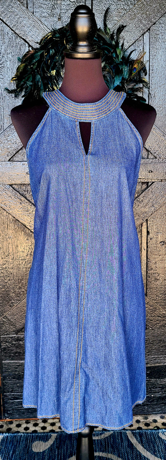 Denim Blue Tencil Sleeveless Dress
